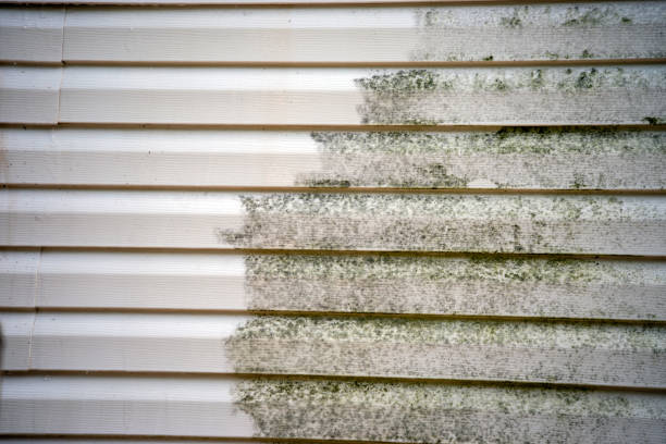 Best Dumpster Rental Services  in Kenly, NC